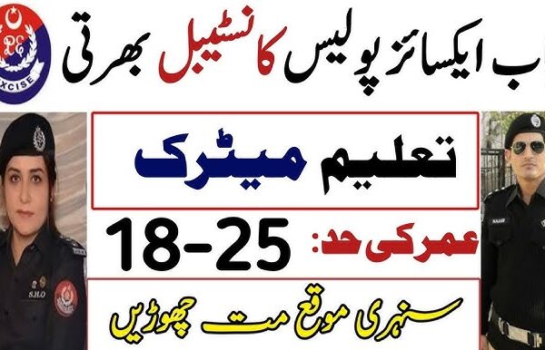 www.excise.punjab.gov.pk Excise and Taxation Punjab Jobs 2025