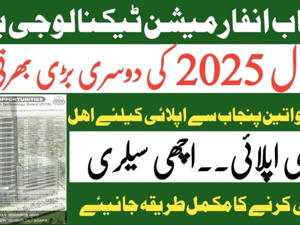 Punjab Information Technology Board Jobs 2025