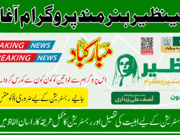 BISP Hunarmand Program 2025 Online Registration www.bisp.gov.pk