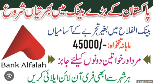 Bank Alfalah Jobs for Fresh Graduates