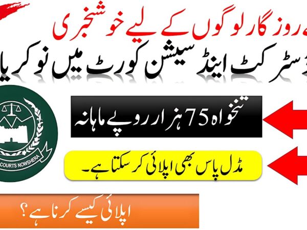 District and Session Court Jobs 2025 NTS Jobs Sindh 2025