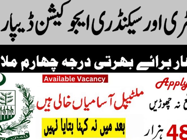 Elementary and Secondary Education Department ESED Jobs 2025