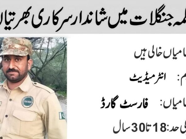 Forest Department Jobs 2025 Online Apply Last Date www.etea.edu.pk