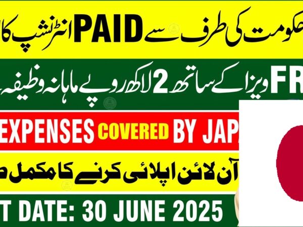 METI Japan Internship Program 2025 Application Form