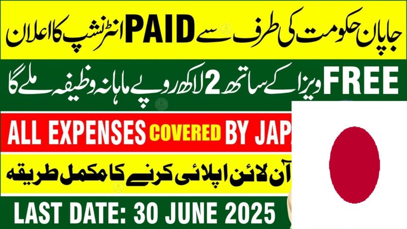 METI Japan Internship Program 2025 Application Form