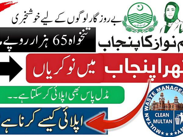 MWMC Jobs 2025 Online Apply jobs.punjab.gov.pk