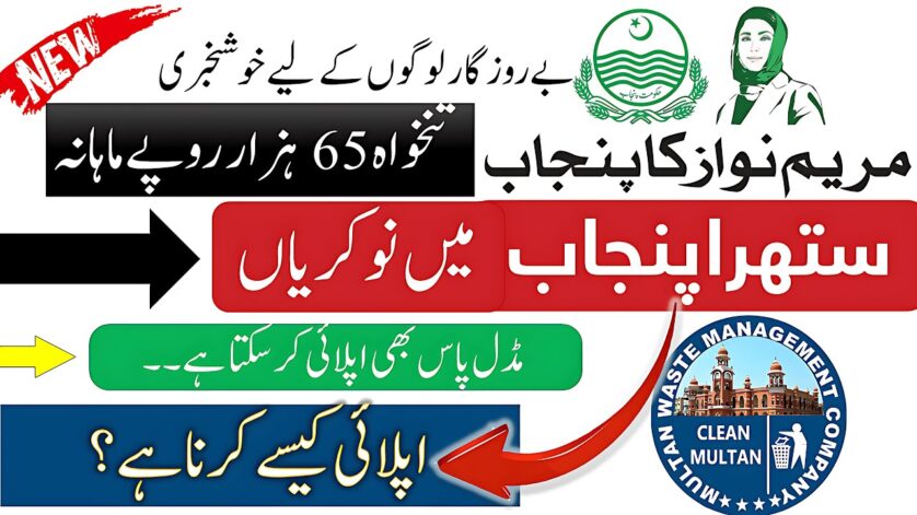 MWMC Jobs 2025 Online Apply jobs.punjab.gov.pk