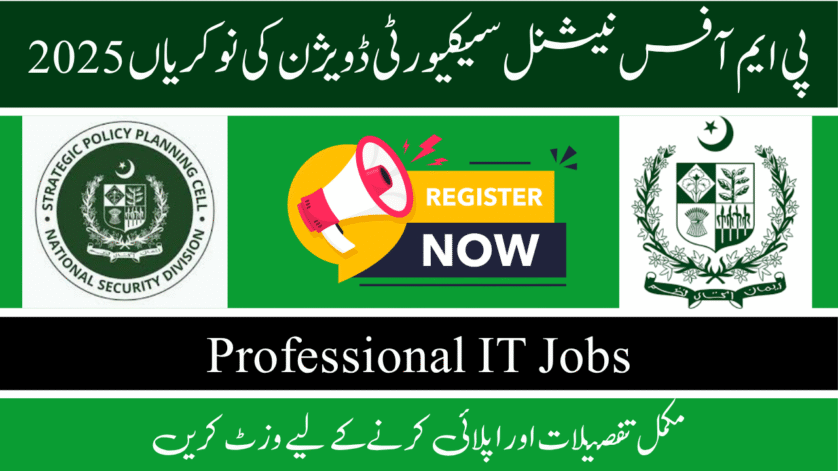 National Security Division Jobs 2025