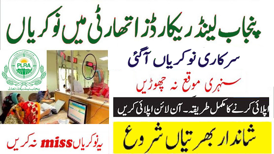 PLRA Jobs 2025 Online Apply jobs.punjab.gov.pk