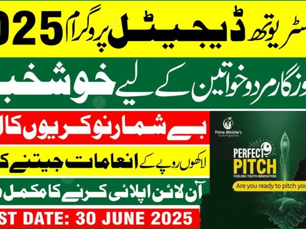 Perfect Pitch Fueling Youth Innovation 2025 - www.pmyp.gov.pk Online Apply