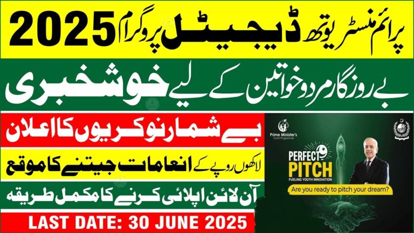 Perfect Pitch Fueling Youth Innovation 2025 - www.pmyp.gov.pk Online Apply