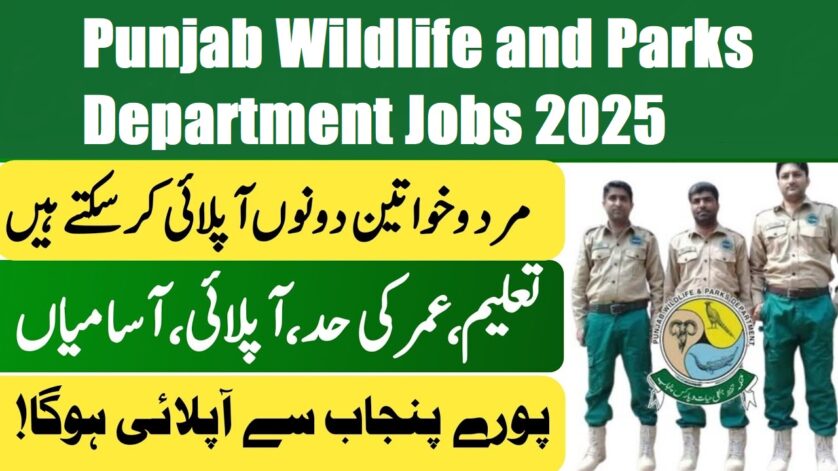 Punjab Wildlife and Parks Department Jobs 2025