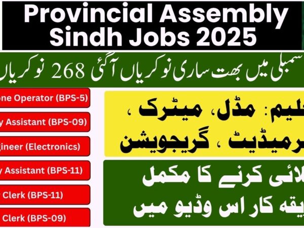 Sindh Assembly Jobs 2025 - www.pts.org.pk Application Form
