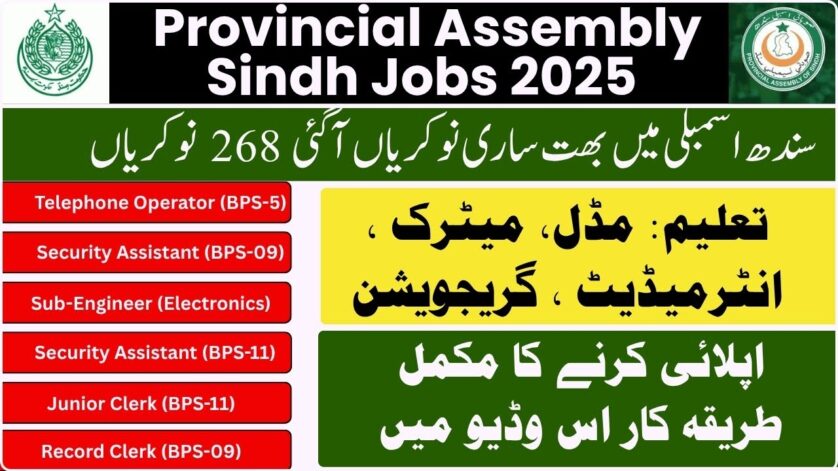 Sindh Assembly Jobs 2025 - www.pts.org.pk Application Form