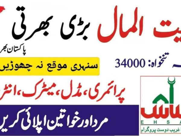 Social Welfare and Bait Ul Maal Punjab Jobs 2025