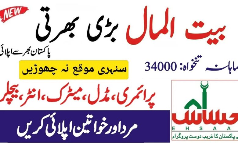 Social Welfare and Bait Ul Maal Punjab Jobs 2025