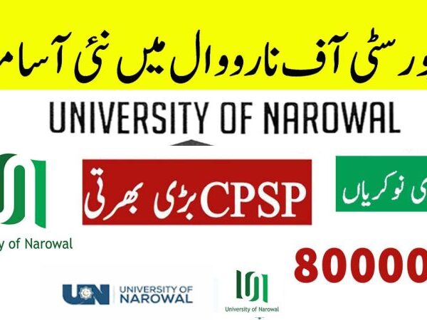 University of Narowal Jobs 2025 www.uon.edu.pk University careers