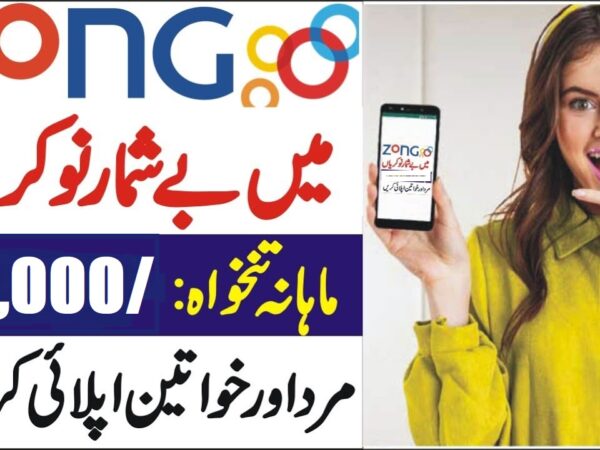 Zong Jobs for Fresh Graduate careers.zong.com.pk 2025