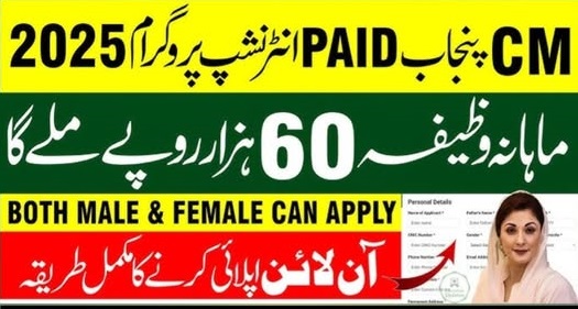 CM Punjab Agriculture Graduate Internship Program 2025