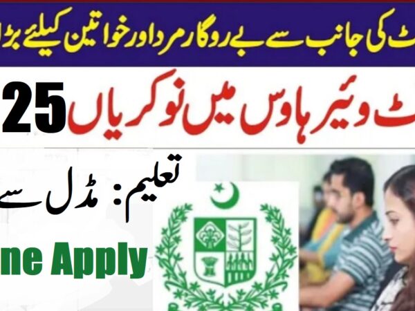 Pakistan Software Export Board Jobs 2025