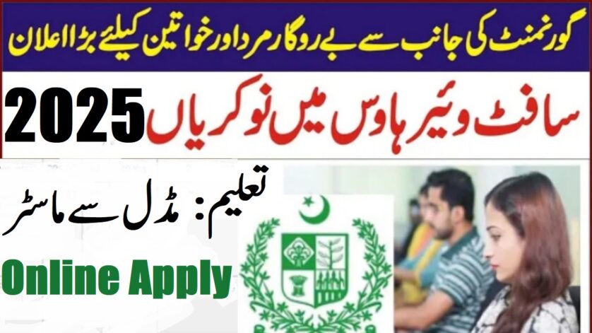 Pakistan Software Export Board Jobs 2025