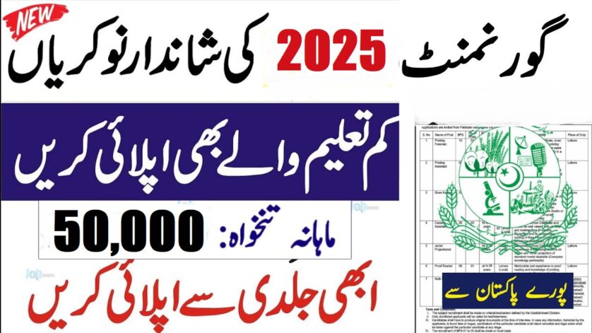 Punjab Chief Minister Inspection Team Jobs 2025