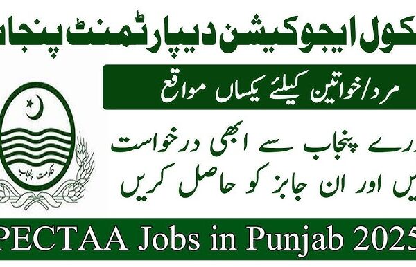 Punjab Education, Curriculum, Training and Assessment Authority PECTAA Jobs 2025