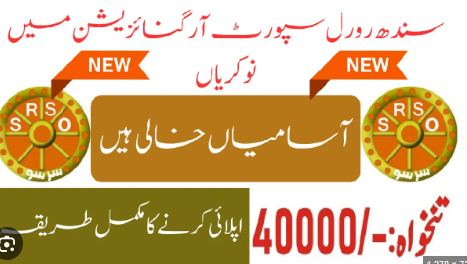 SRSO Jobs 2025 Online Apply Sindh