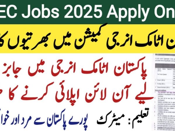 www.careerjobs2381.com.pk Pakistan Atomic Energy Jobs 2025