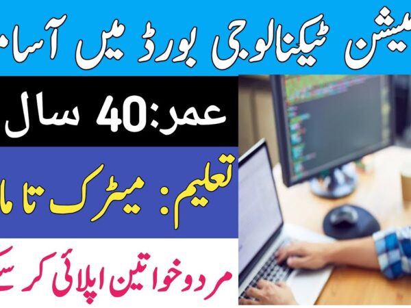 AJK Information Technology Board Jobs