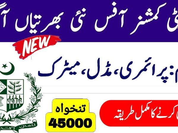 Deputy Commissioner DC Office Loralai Jobs