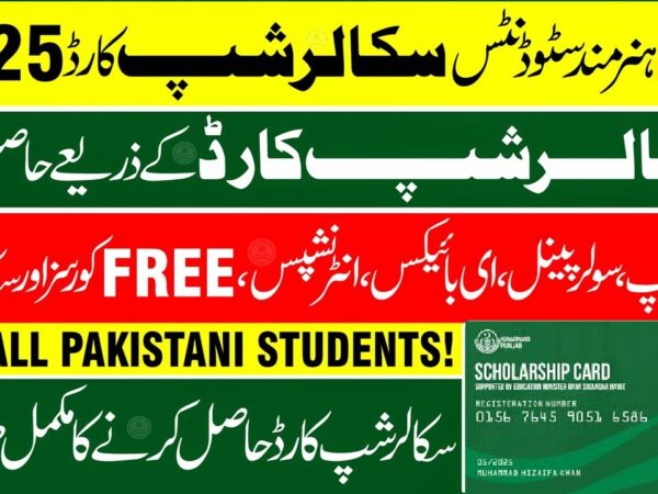 Hunarmand Punjab Scholarship Card Online Registration hunarmandpunjab.pk