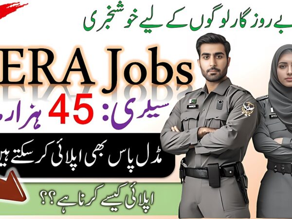 PERA SDEO Sub Divisional Enforcement Officer Jobs 2025