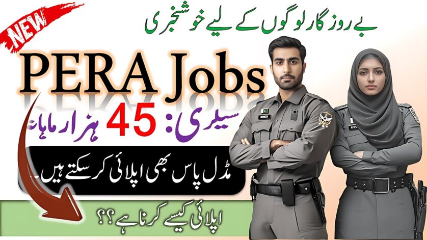 PERA SDEO Sub Divisional Enforcement Officer Jobs 2025