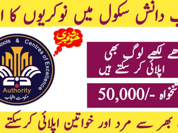 Punjab Daanish School Jobs