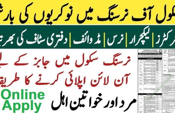 School of Nursing and Midwifery Jobs