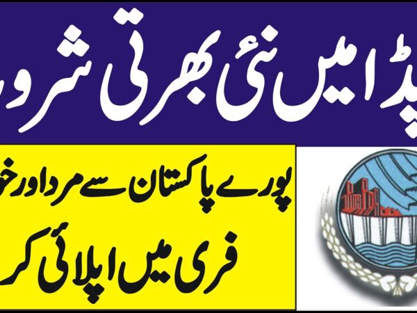 WAPDA Jobs 2025 Lahore