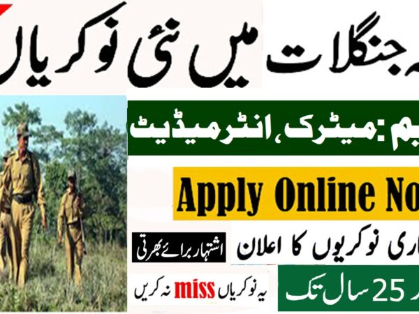 Forest Guard Jobs in Forest Department