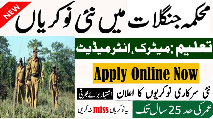 Forest Guard Jobs in Forest Department