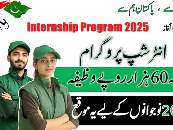 mpip punjab gov pk - Chief Minister Magnificent Punjab Tourism Internship Program 2025